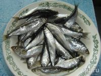 Лот: 10019434. Фото: 2. Тугун северная рыба. Продукты