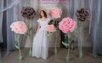 Лот: 12882594. Фото: 5. оформление залов для торжеств