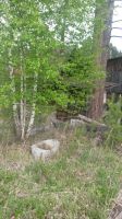 Лот: 7657318. Фото: 3. Участок ст. Пугачево. Недвижимость