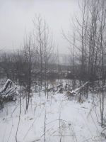 Лот: 13359737. Фото: 5. дача