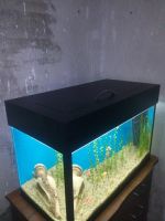 Лот: 12131172. Фото: 5. Крышка для аквариума