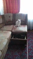 Лот: 6411951. Фото: 5. Диван (Мягкий уголок) Б/У