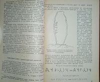 Лот: 24788986. Фото: 20. Енисейская Сибирь. Учёные записки...