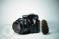 Лот: 8484431. Фото: 3. Sony SLT-A37 + minolta 35-70 f4... Фото, видеокамеры, оптика