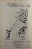 Лот: 20589388. Фото: 11. В двух переплётах .*Народная энциклопедия...