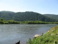 Лот: 3057072. Фото: 6. Продам ДОМ летний(вода,свет) зем...