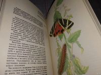 Лот: 16932074. Фото: 8. По страницам Красной книги. Животные...