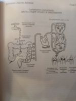 Лот: 16982444. Фото: 3. книга "Домашние средства аюрведы... Литература, книги
