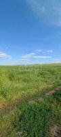 Лот: 25578904. Фото: 5. участок , посёлок городского типа...
