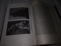 Лот: 20817433. Фото: 9. (109234) Дюрант, Вил Жизнь Греции...