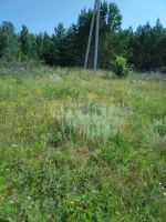 Лот: 25858232. Фото: 4. участок , садоводческое некоммерческое... Красноярск