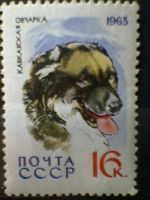 Лот: 5277195. Фото: 3. СССР1965 Служебные и охотничьи... Красноярск