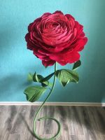 Лот: 11869669. Фото: 2. Ростовой пион. Цветы, букеты