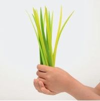 Лот: 4451211. Фото: 3. Ручка шариковая "Травинка Pooleaf... Компьютеры, оргтехника, канцтовары