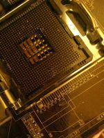 Лот: 4898051. Фото: 3. Материнская плата Asus P5KPL-AM... Компьютеры, оргтехника, канцтовары