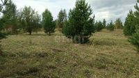 Лот: 25672910. Фото: 4. участок , садоводческое некоммерческое... Красноярск