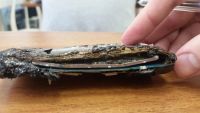 Лот: 6982614. Фото: 2. Samsung Galaxy Y. Смартфоны, связь, навигация