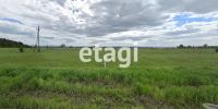 Лот: 25285657. Фото: 3. участок , село Есаулово село Есаулово... Недвижимость
