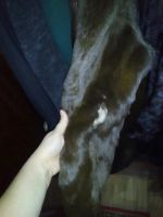 Лот: 8487231. Фото: 3. ..шуба. Одежда, обувь, галантерея