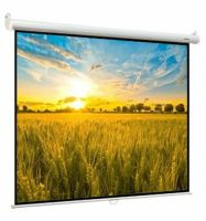 Лот: 20543373. Фото: 4. Экран для проектора Digis Optima-B... Красноярск