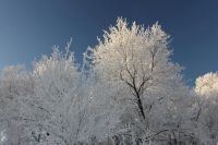 Лот: 5485420. Фото: 4. Светофильтр поляризационный циркулярный... Красноярск