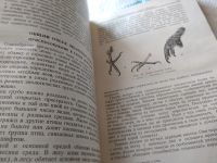 Лот: 18440510. Фото: 11. Доппельмаир Г.Г., Мальчевский...