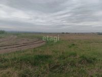 Лот: 25290027. Фото: 3. участок , ДНТ Огни Енисея ДНТ... Недвижимость