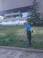 Лот: 13641832. Фото: 3. покос травы, обработка от клещей... Для дачи, дома, огорода, бани, парка