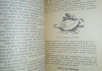 Лот: 24890274. Фото: 7. Охота на лесную (боровую) дичь...