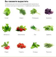 Лот: 20565900. Фото: 6. Сити - Ферма