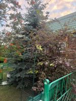 Лот: 25383751. Фото: 16. 5-комн. и более дом , Красноярск...