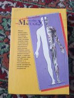 Лот: 19817732. Фото: 2. Дубровские Практическое пособие... Медицина и здоровье