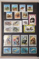 Лот: 20984512. Фото: 2. Большой альбом с марками 20 страниц... Коллекционирование, моделизм