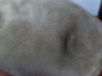 Лот: 1313924. Фото: 3. Женский норковый берет,56-58размер. Одежда, обувь, галантерея