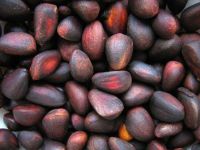 Лот: 7054996. Фото: 2. Орех кедровый неочищенный. Продукты