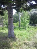 Лот: 2920514. Фото: 5. Дача в Малом Кускуне обмен на...
