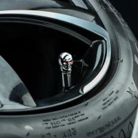 Лот: 25616196. Фото: 2. Колпачок на вентиль, TORSO, череп... Инструмент