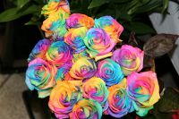 Лот: 1274838. Фото: 3. 19 радужных роз с зеленью и упаковкой. Сувениры, подарки