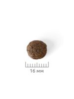 Лот: 19040055. Фото: 4. Деликана (Delicana) сухой корм... Красноярск