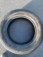 Лот: 19185245. Фото: 3. Шина Dunlop EC 201. Авто, мото, водный транспорт