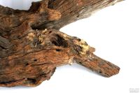 Лот: 12539246. Фото: 6. Мегакоряга UDeco Iron Desert Driftwood...