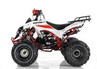 Лот: 21080497. Фото: 2. Квадроцикл MOTAX ATV Raptor Super... Мототехника