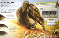 Лот: 7502200. Фото: 2. Новая книга Удивительный мир животных... Детям и родителям