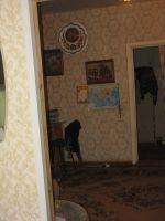 Лот: 4530625. Фото: 7. Продается дом по пути в пос. Горный...