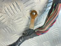 Лот: 25410566. Фото: 17. проводка под торпедо Nissan Almera...