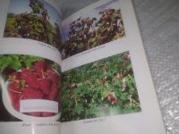 Лот: 25385545. Фото: 5. вб/oz(4092354)Казаков И.В., Сидельников...