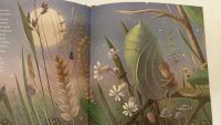 Лот: 25588745. Фото: 7. Секрет бабочки. Детская книга.