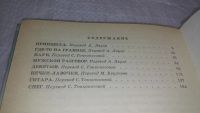 Лот: 9780113. Фото: 3. Принцесса и мальчишки, Януш Домагалик... Литература, книги