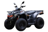 Лот: 25659231. Фото: 3. Квадроцикл LONCIN Overland 200. Авто, мото, водный транспорт