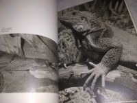 Лот: 25258361. Фото: 8. (2092314)S kamerou po evropskych...